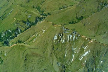 LUSH ALPS